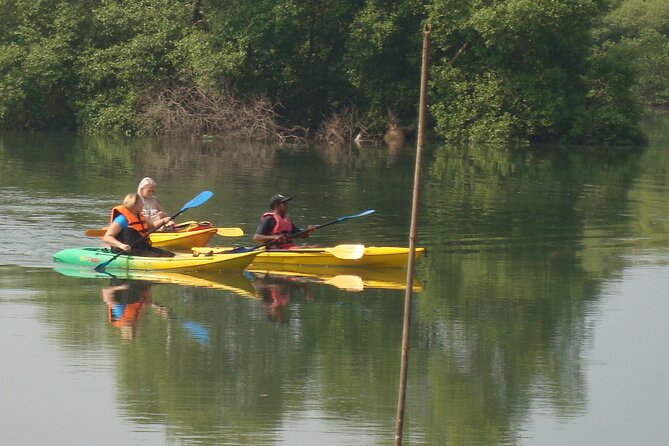 Goa Kayaking Spikes Salonia Backwaters Kayaking Experience - Meeting Point and Pickup