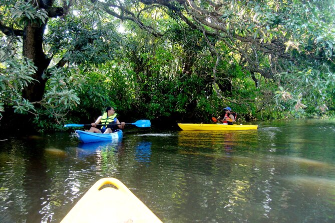 Goa Kayaking Spikes Salonia Backwaters Kayaking Experience - Participation Requirements