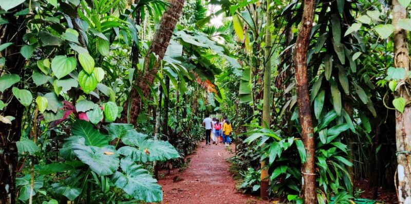 Goa: Private Full-Day Sightseeing Highlights Tour - Important Information for Guests