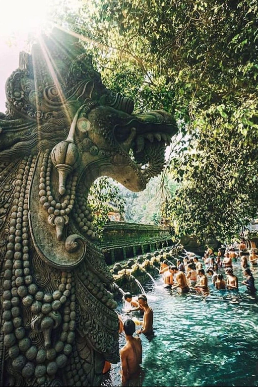 Goa Raja Waterfall, Purification Temple & Rice Terrace - Key Points