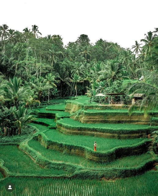 Goa Raja Waterfall, Purification Temple & Rice Terrace - What to Bring