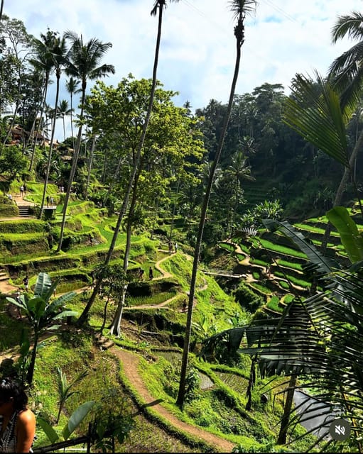 Goa Raja Waterfall, Purification Temple & Rice Terrace - Booking and Cancellation