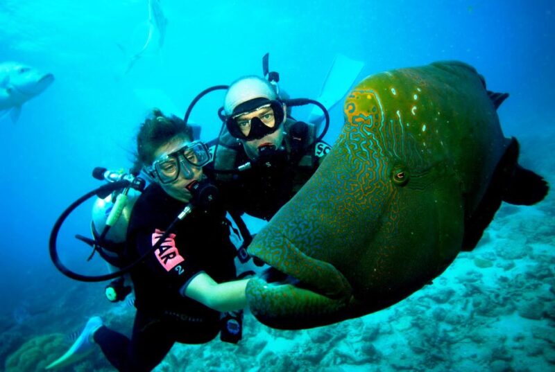 Goa Scuba Diving With Water Sports at Grand Island - Pricing and Inclusions