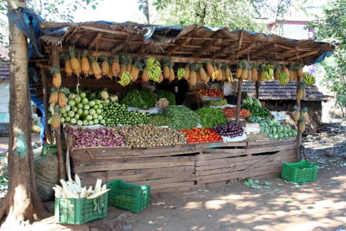 Goa Street Food Tour - Booking and Payment Options