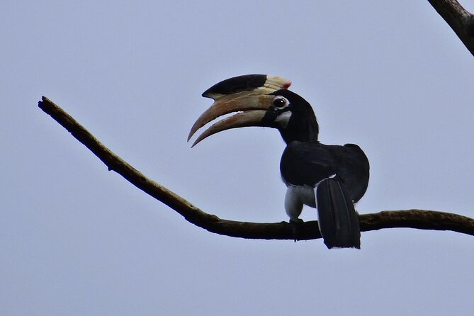 Goa to Anshi National Park, Extension to Wildlife Safari Tour - Additional Information