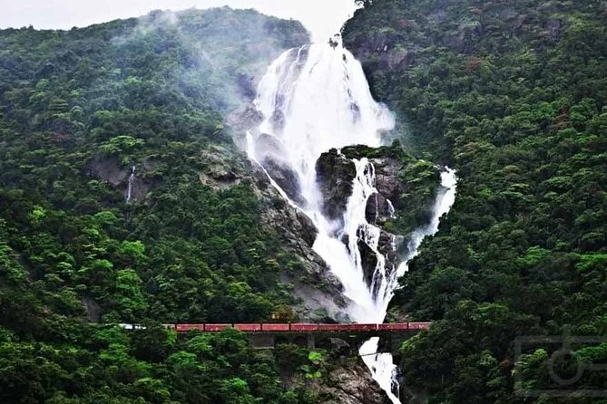 Goa to Anshi National Park, Extension to Wildlife Safari Tour - Itinerary