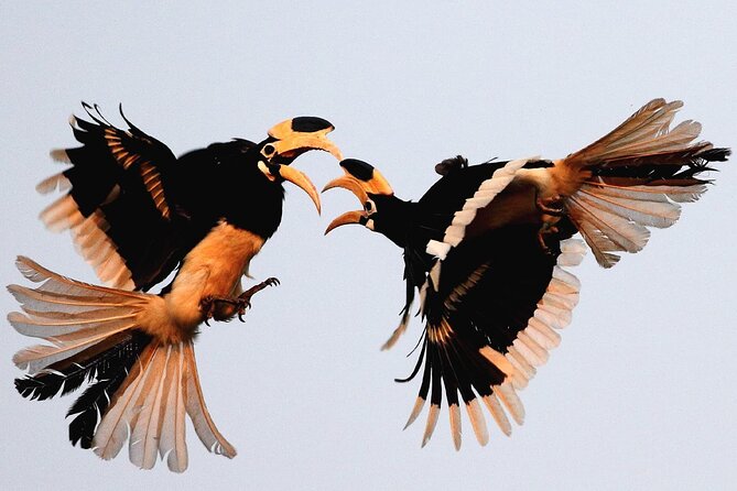 Goa to Anshi National Park, Extension to Wildlife Safari Tour - Traveler Reviews