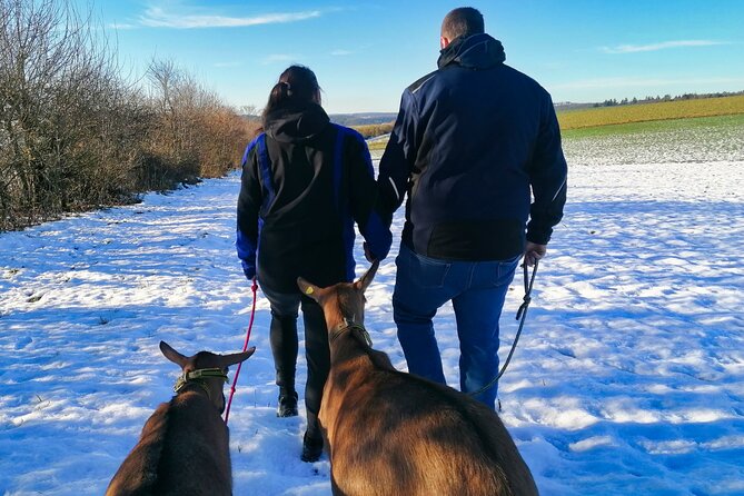 Goat Hike on the Vulkanhof in Gillenfeld - Key Points
