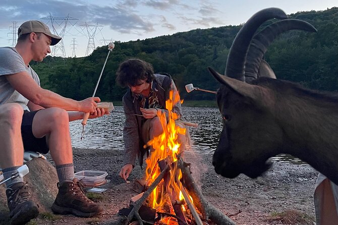 Goat Hiking, Beaver Dam Visit and Picnic in Quebec Forest - Transportation and Public Transit