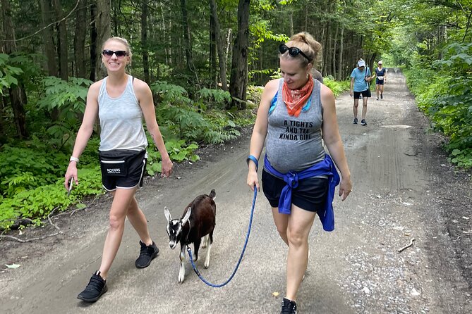 Goat Hiking, Beaver Dam Visit and Picnic in Quebec Forest - Private Tour and Group Size