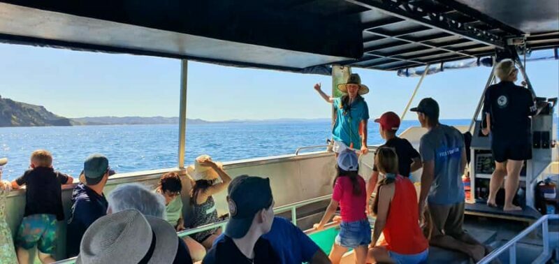 Goat Island: Glass Bottom Boat Tour - What the Tour Looks Like – Step by Step
