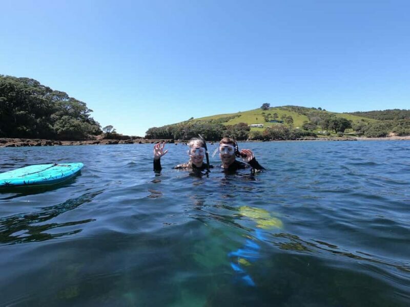 Goat Island Guided Snorkeling Tour for Beginners - Key Points