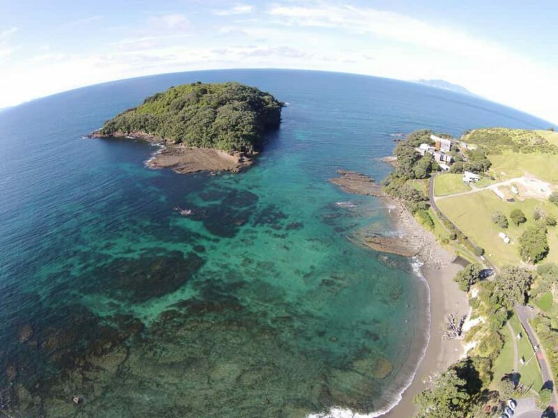 Goat Island Guided Snorkeling Tour for Beginners - The Itinerary: What to Expect on Your Snorkeling Adventure