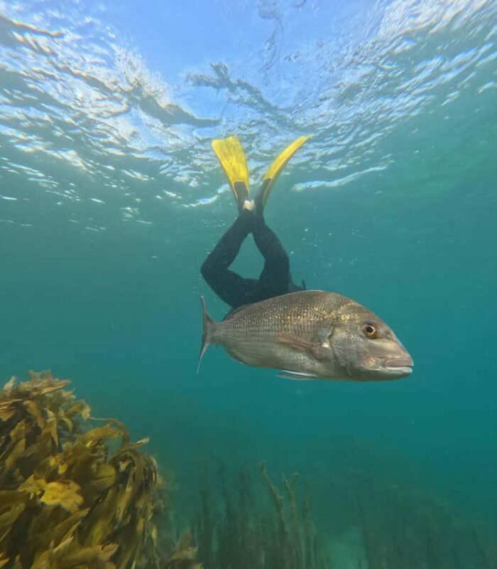 Goat Island Guided Snorkeling Tour for Beginners - The Value for Money and Additional Perks