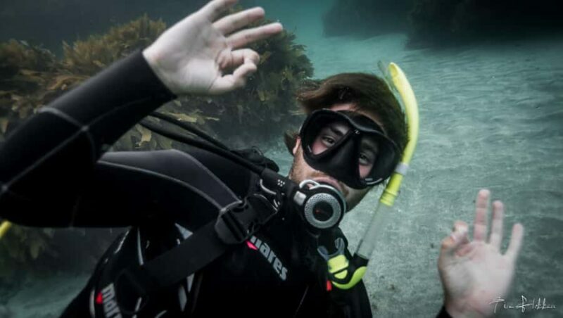 Goat Island Try Scuba Diving Experience - The Instruction and Underwater Experience