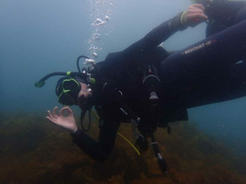 Goat Island Try Scuba Diving Experience - Reviews and Authentic Feedback