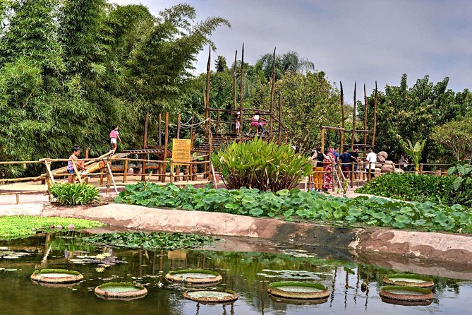 Goat on Trees & Crocodile Park Including Tickets and Hotel Pickup - Crocodile Park Experience