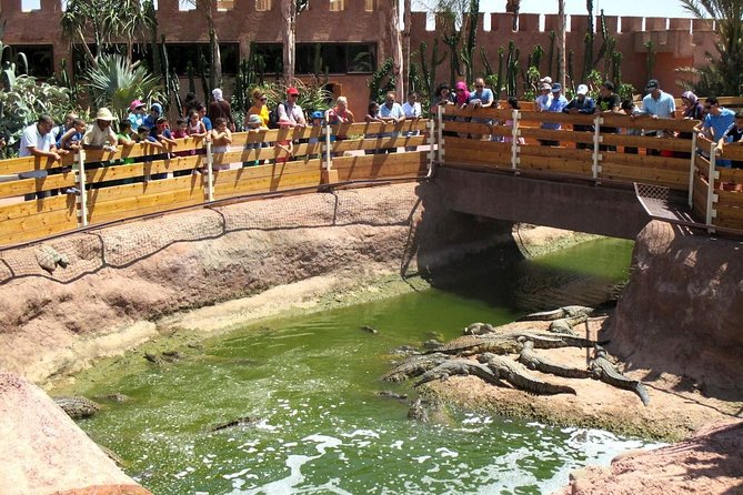 Goat on Trees & Crocodile Park Including Tickets and Hotel Pickup - Traveler Reviews