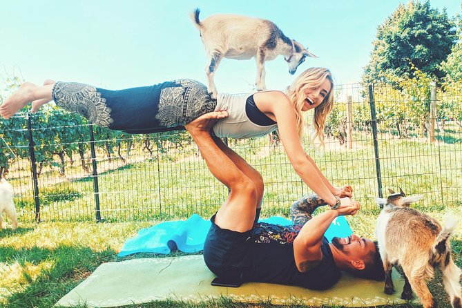 Goat Yoga and Wine Tasting - Meeting and End Point