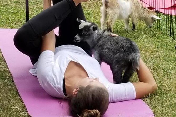 Goat Yoga and Wine Tasting - Cancellation Policy