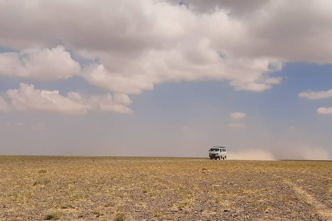 Gobi and Grassland Mongolia 7-8 Days - Itinerary Highlights