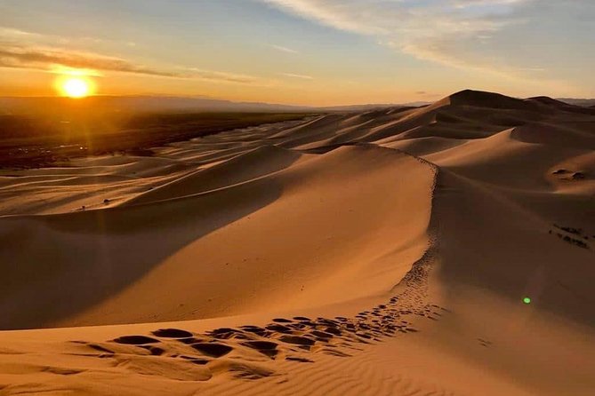 Gobi and Grassland Mongolia 7-8 Days - Customer Reviews and Feedback