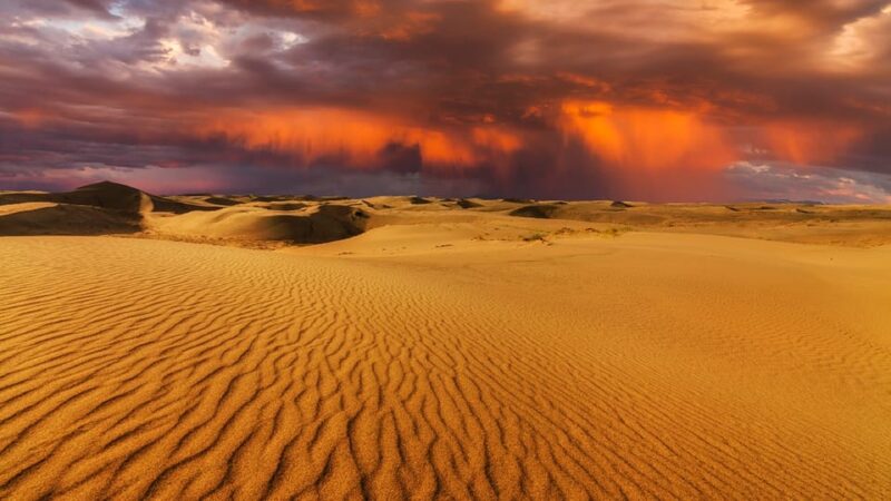 Gobi: Great Desert Tour - Important Information