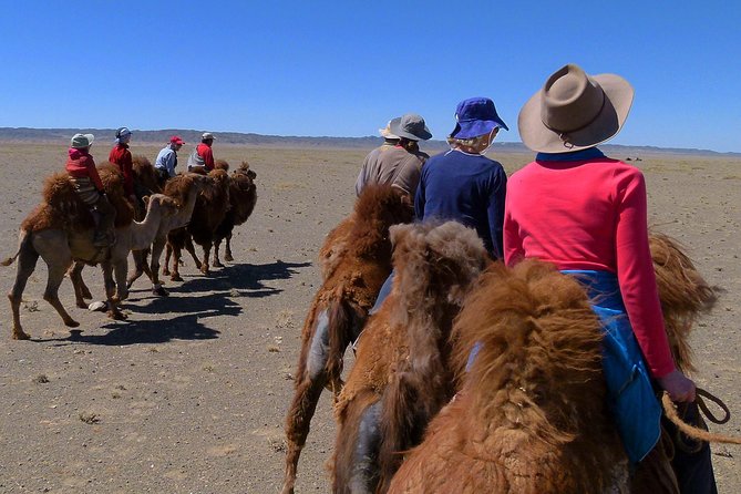 Gobi Tour May 2019 02-07 June - Pickup and Meeting Details