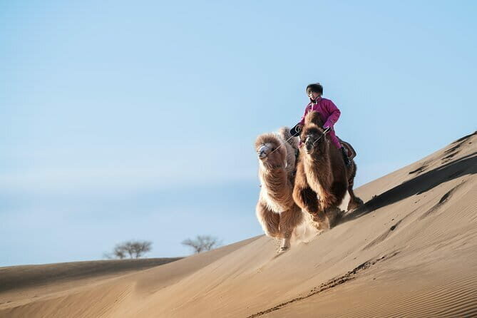 Gobi tour Mongolia 7 Days - A Deep Dive into the 7-Day Gobi Experience