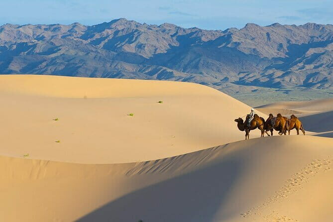 Gobi tour Mongolia 7 Days - The Sum Up