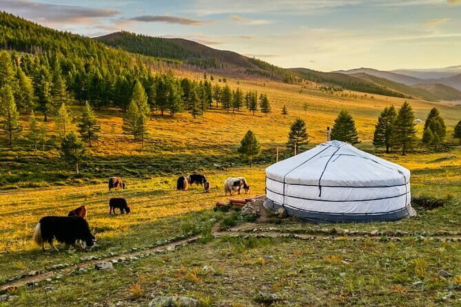 Gobi tour Mongolia 7 Days - Frequently Asked Questions