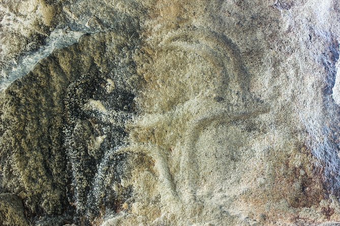 Gobustan and Mud Volcanoes PRIVATE TOUR - Destination Highlights