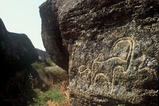 Gobustan National Park & Mud Volcanoes Tour - Exclusions From the Tour