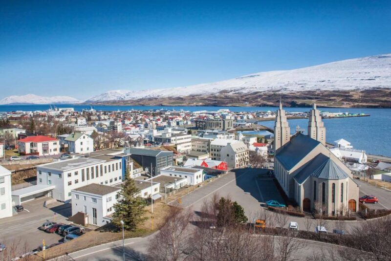 Goðafoss Waterfall & Forest Lagoon From Akureyri Port - Customer Feedback and Ratings