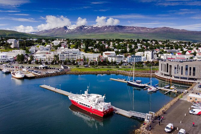 Godafoss Waterfall & Geothermal Baths From Akureyri Port - Pickup and Transportation