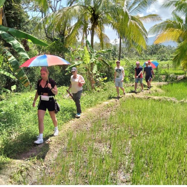 Godakawela Village Tour With Traditional 4 Causes Lunch - Itinerary Highlights