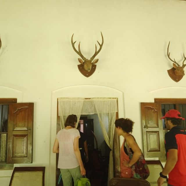 Godakawela Village Tour With Traditional 4 Causes Lunch - Experience Details