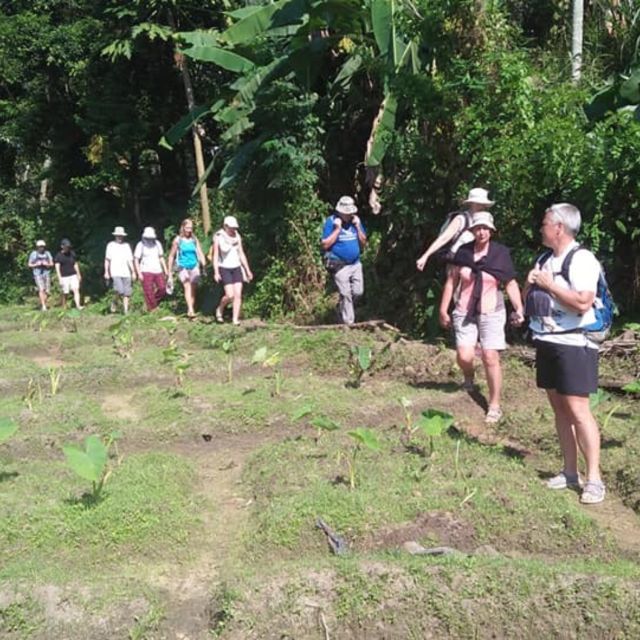 Godakawela Village Tour With Traditional 4 Causes Lunch - Important Notes