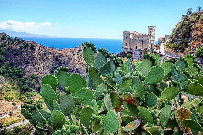 Godfather Tour + Possibility Sicilian Food & House Wine Tasting - Transportation and Accessibility