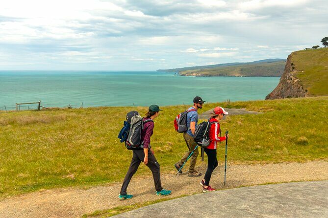Godley Head Scenic Drive & Walking Tour (Private Shore Excursion) - Key Points
