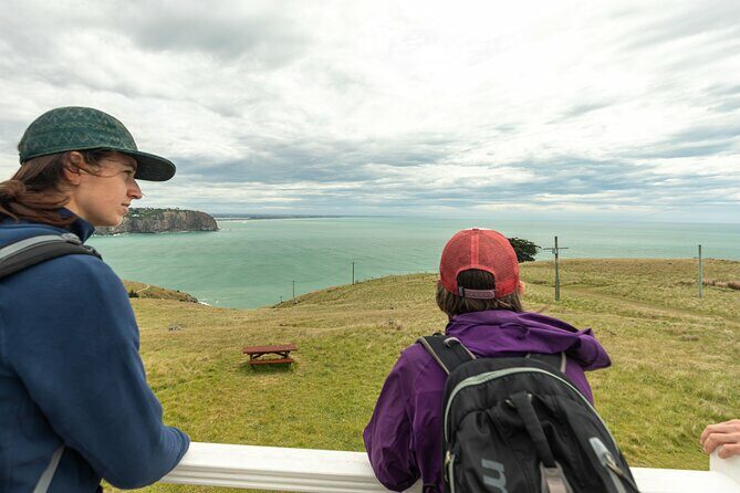 Godley Head Scenic Drive & Walking Tour (Private Shore Excursion) - Who Will Benefit Most?