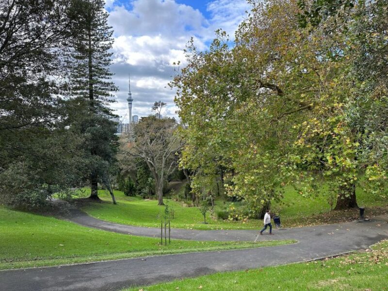 GoGuided Auckland Essentials Private Tour - Price and Duration
