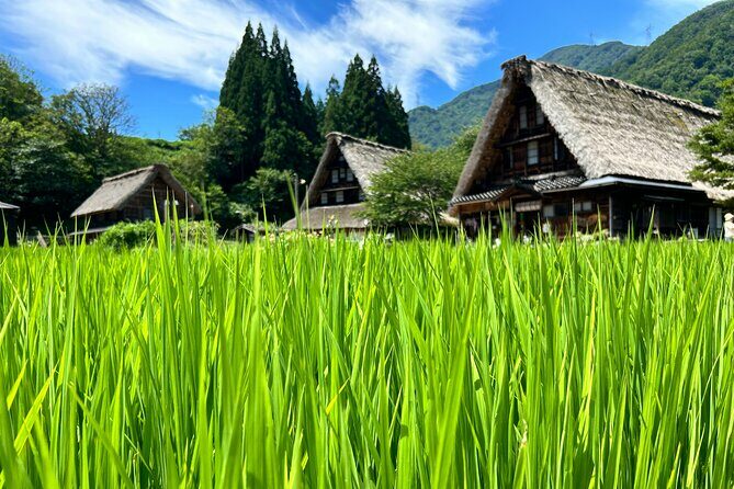 Gokayama and Shirakawago (UNESCO Heritage) Small Group(Max 9) - Who is This Tour Best Suited For?