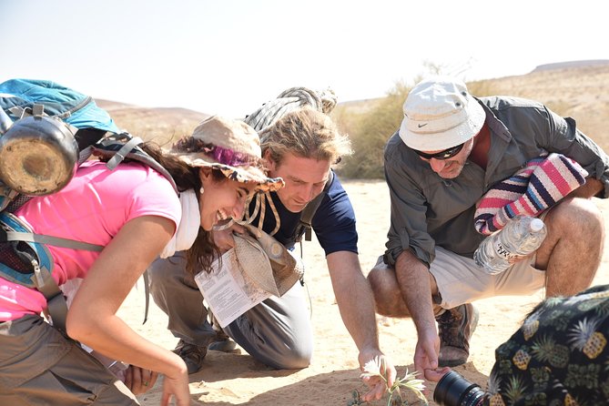 GoKedem 5-Day Private All-Inclusive Cross-Israel Adventure - Hike the Galilee Trails