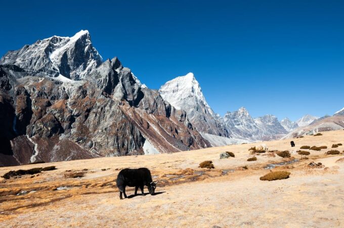 Gokyo Lake & Renjo La Pass Trek - 14 Days - Emergency Evacuation
