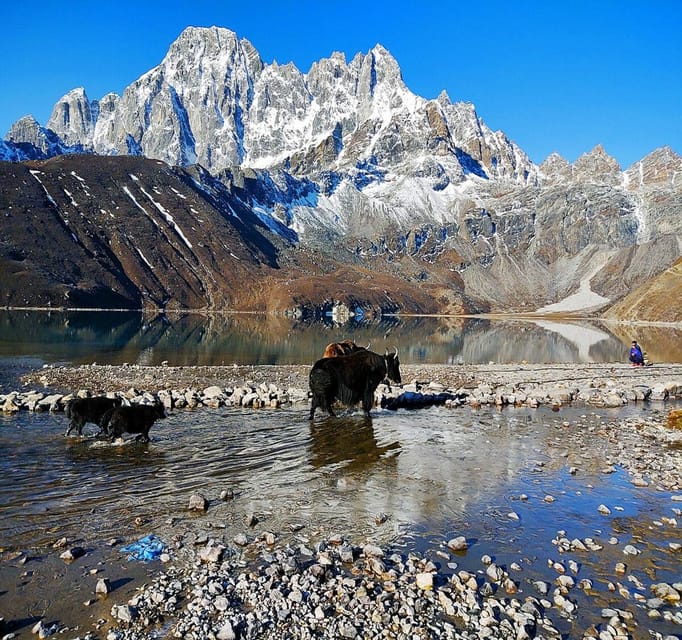 Gokyo Lakes: a Trek for Nature Lovers With Guided Tour - Getting to Lukla