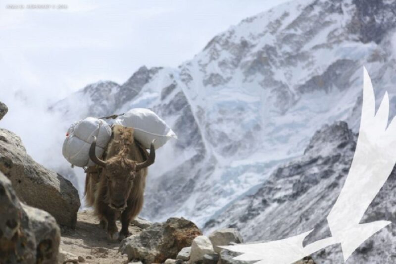 Gokyo Lakes With Everest Base Camp - Itinerary Breakdown
