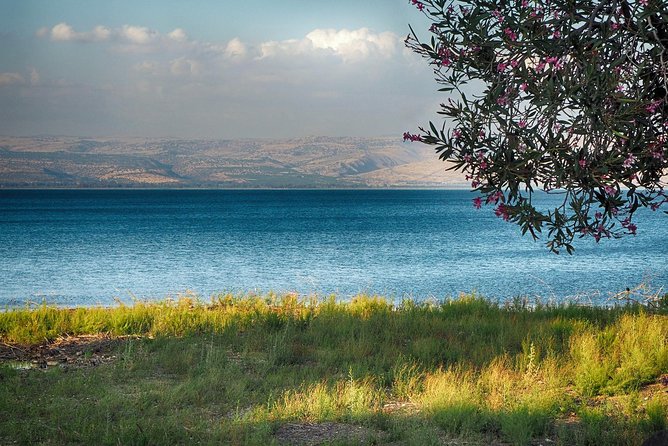 Golan Heights Biblical Day Trip From Tel Aviv - Cancellation and Refund Policy