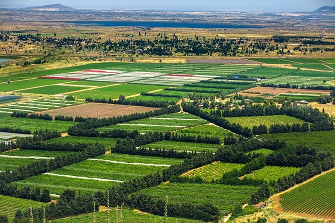 Golan Heights Day Trip From Jerusalem - Peak of Mount Bental