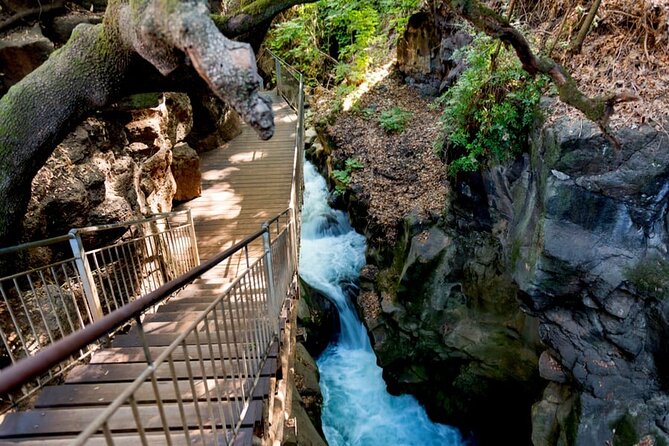 Golan Heights Day Trip From Jerusalem - Professional Guide Services